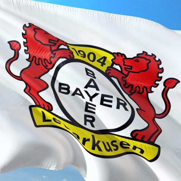 A-Flag-of-Bayer-04-Leverkusen