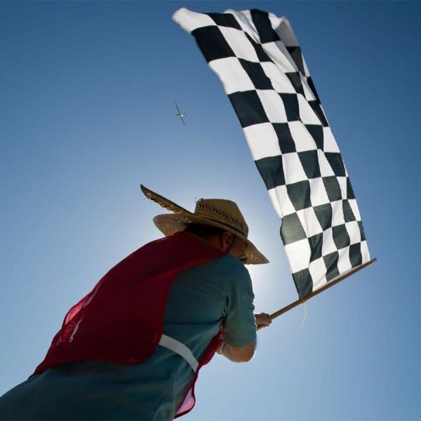 Man-holding-and-waving-the-checkered-flag